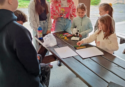 IMG_20250424_081848