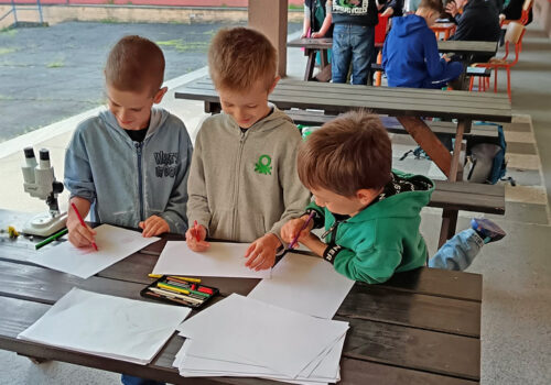 IMG_20250424_084034