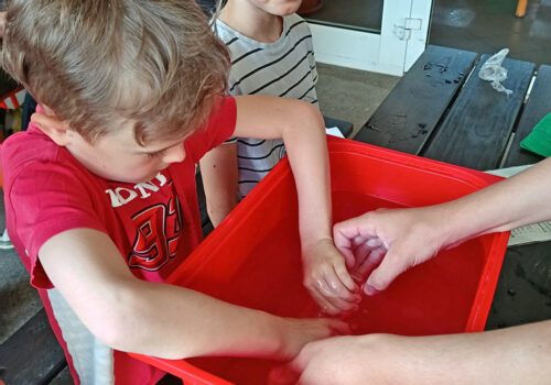 IMG_20250424_090853