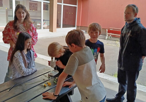 IMG_20250424_090903