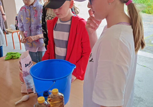 IMG_20250424_110206