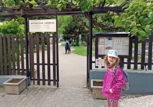 IMG_20250507_154331