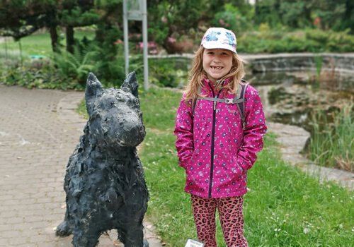 IMG_20250507_154344