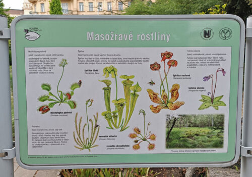Botanická zahrada, Výletníček