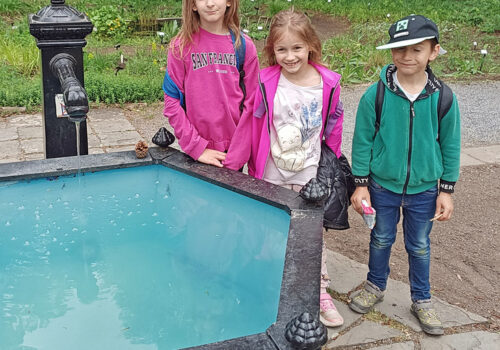 IMG_20250507_155243